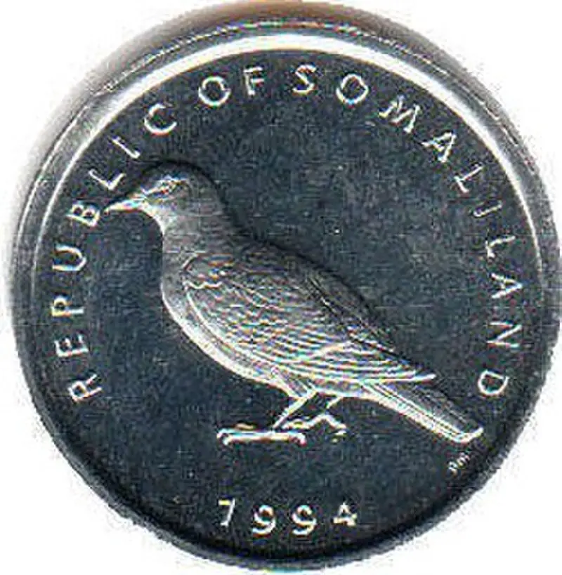 Somali pigeon