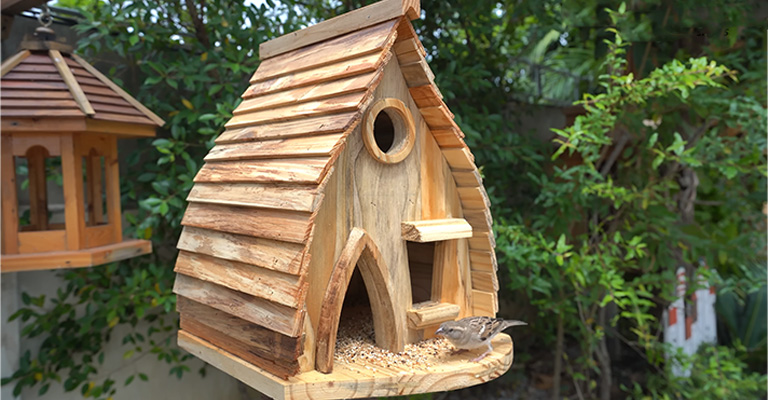 Construction of Birdhouses