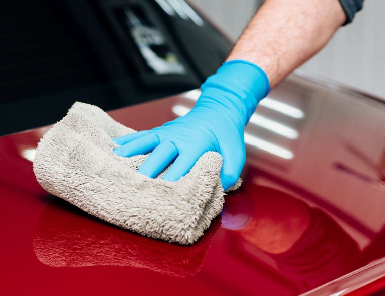 How to Remove Bird Poop Stain From Your Car Expert Cleaning Tips and