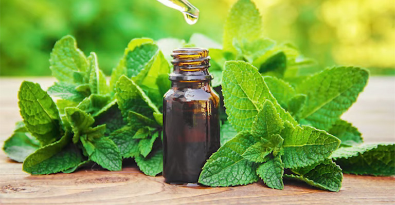 Peppermint Oil and Scents