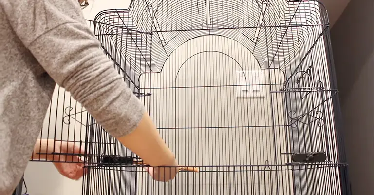 You Need to Prepare Your Bird Cage Before Painting It