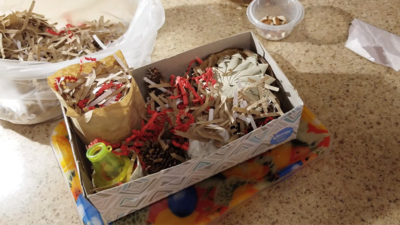 How To Make A Parrot Foraging Box