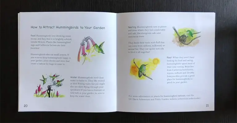 Best Books About Hummingbirds