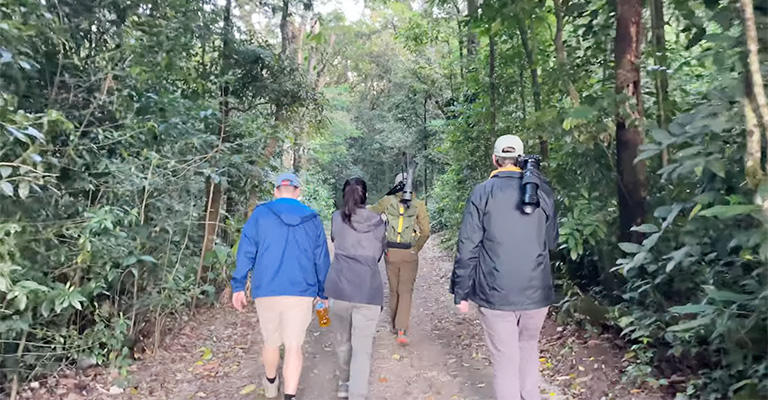 How Has Costa Rica's Sustainability Efforts Impacted Bird-Watching Tourism