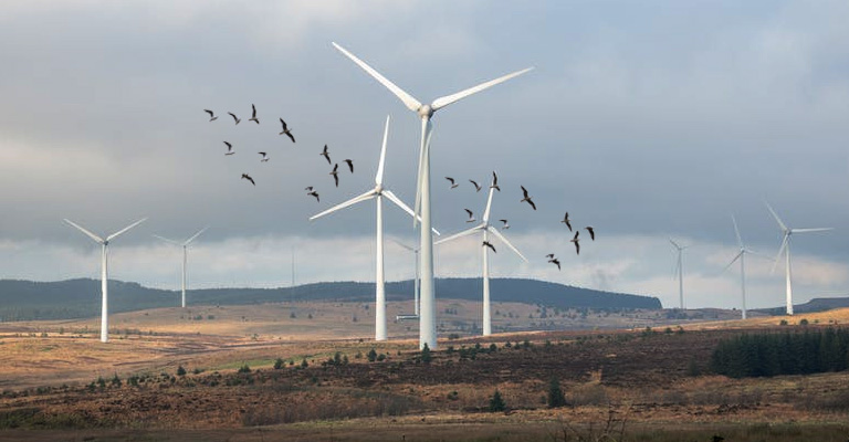 How to Prevent Wind Turbine Bird Collision