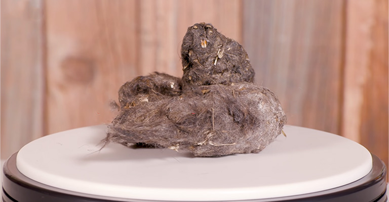 What Are Owl Pellets