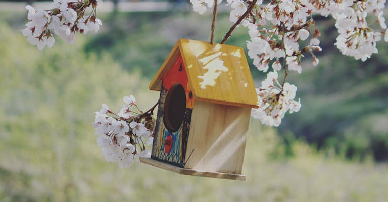 Where To Hang A Birdhouse