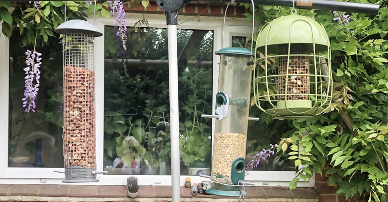 Can Dirty Bird Feeders Make Birds Sick