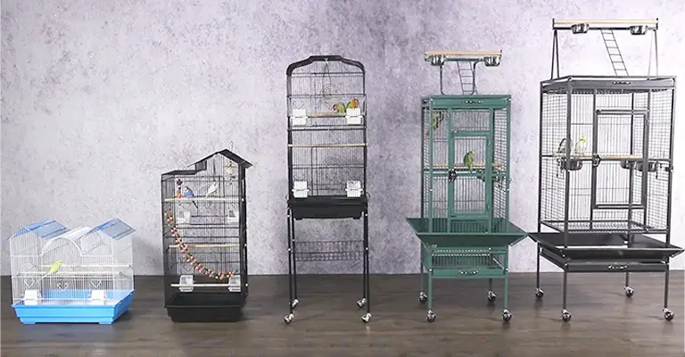 Factors to Consider When Choosing a Cage Size