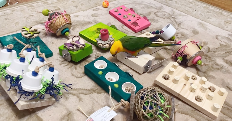 Foraging Ideas for Parrots