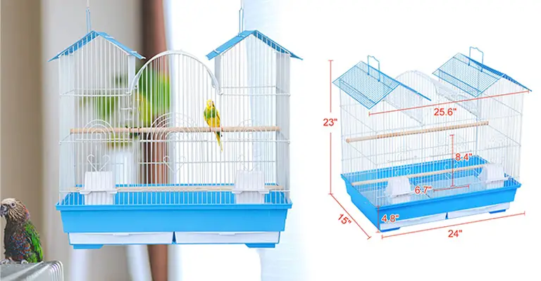 How to Choose the Right Cage Size for Conure Birds