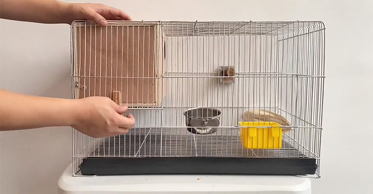 How to Choose the Right Cage Size for Lovebirds