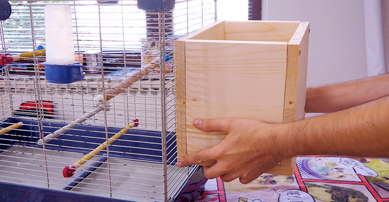 Selecting the Ideal Nesting Box for Quaker Parrot