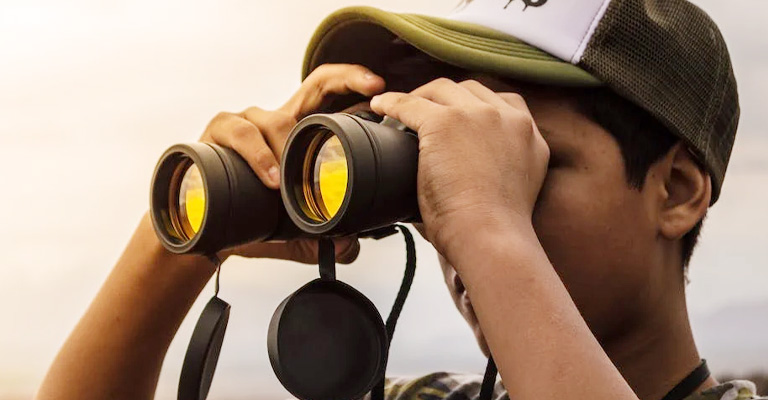 Binoculars and Field Guides