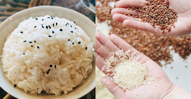 Cooked or Uncooked - Can Birds Eat Rice