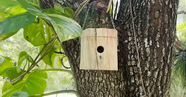 Hang Hummingbird Houses