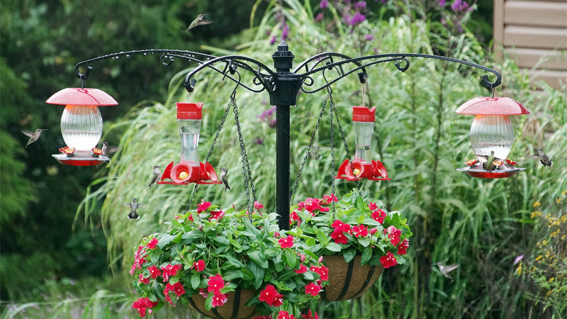 How Do I Make My Bird Feeder Eco-Friendly