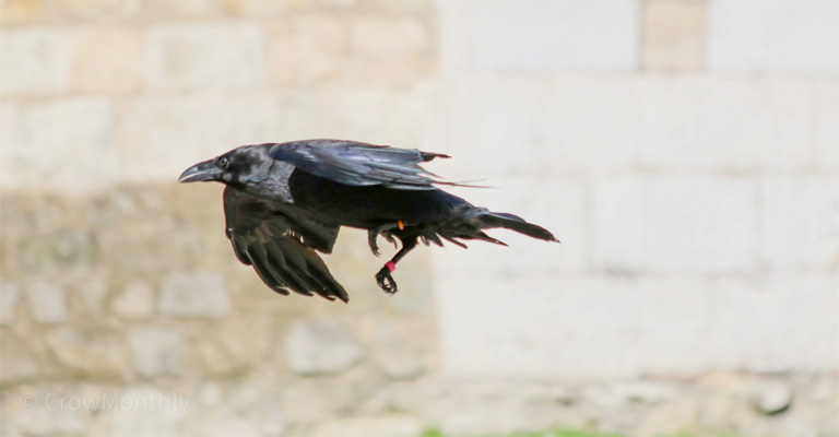 How Far is Sicily From Africa as the Crow Flies