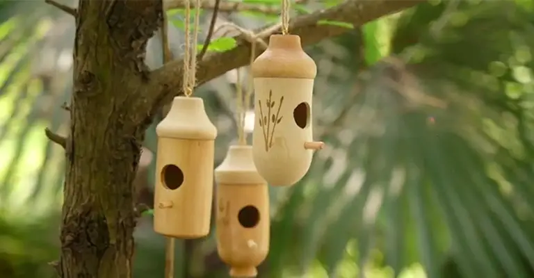 Where To Hang Hummingbird Houses