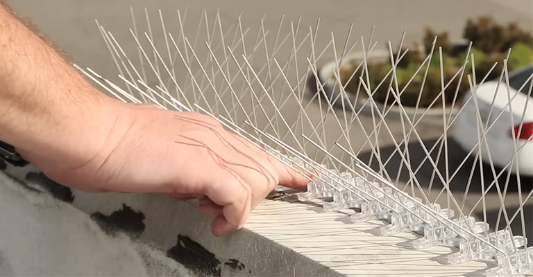 What Type Of Bird Spikes Work Best