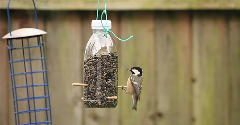 How to Make a Birdfeeder Out of a Plastic Bottle