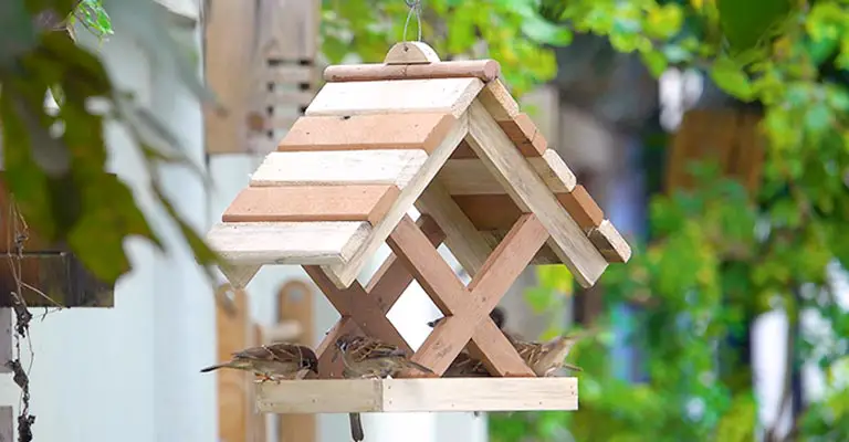 How To Make A Bird Feeder Out Of Wood