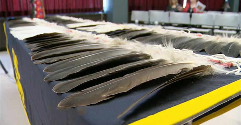 In Which Countries Are Eagle Feathers Illegal
