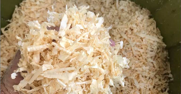Can You Use Pine Shavings as Bedding for Parakeets
