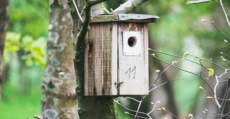 Installing Nesting Boxes