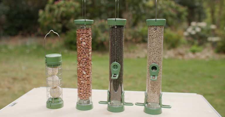 What Do You Do If Birds Won’t Like Its New Feeder