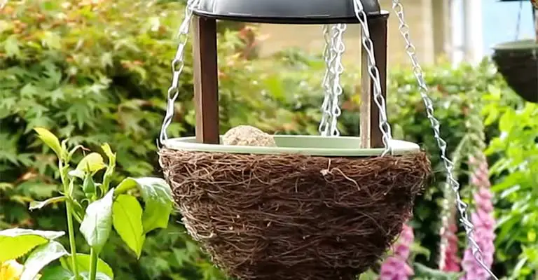 What Do You Use To Water A Hanging Basket With A Bird Nest