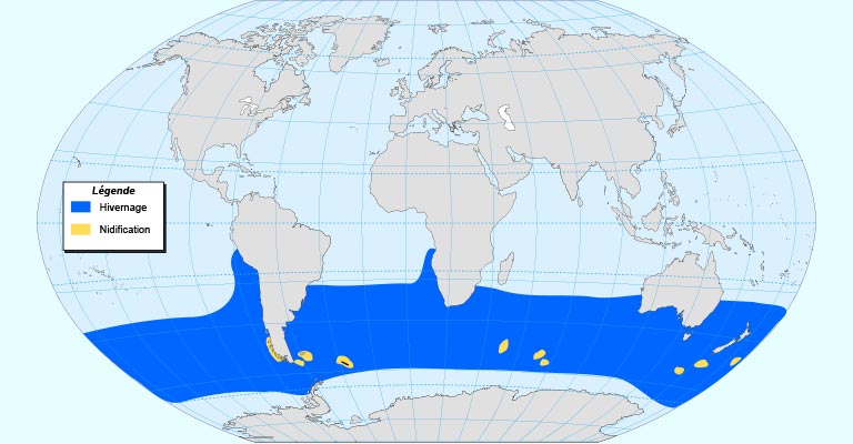 Black-browed Albatross Range