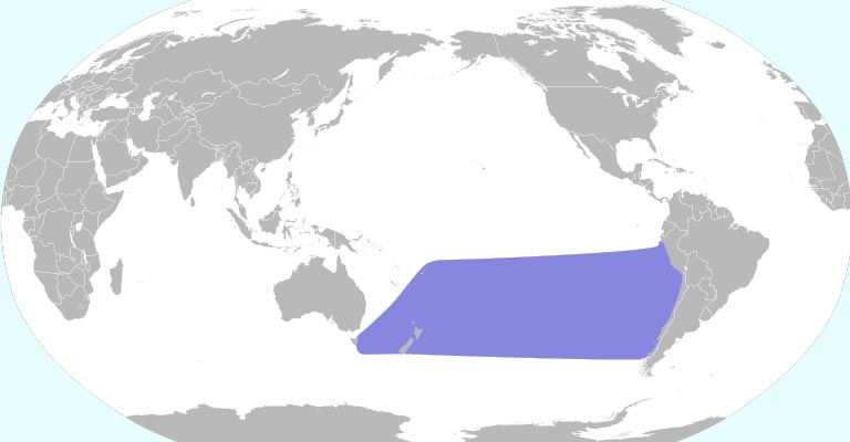 Chatham Albatross Range Map