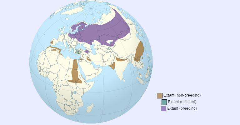 Common Crane Range Map