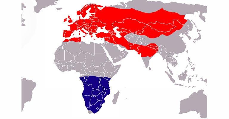 Common Swift range map