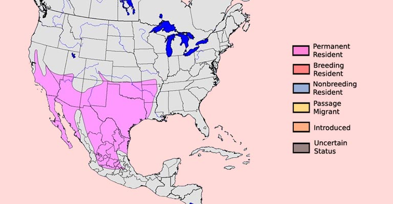 Range Map