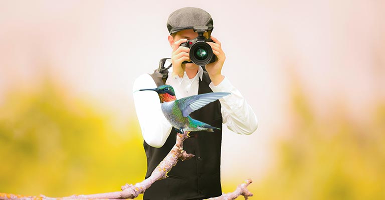 How To Photograph Hummingbirds
