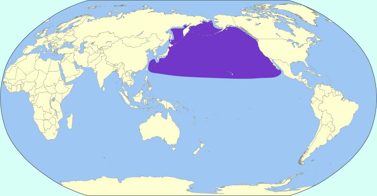 Laysan Albatross Range Map