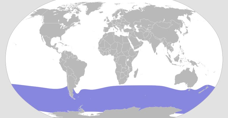 Light-mantled Albatross Range Map