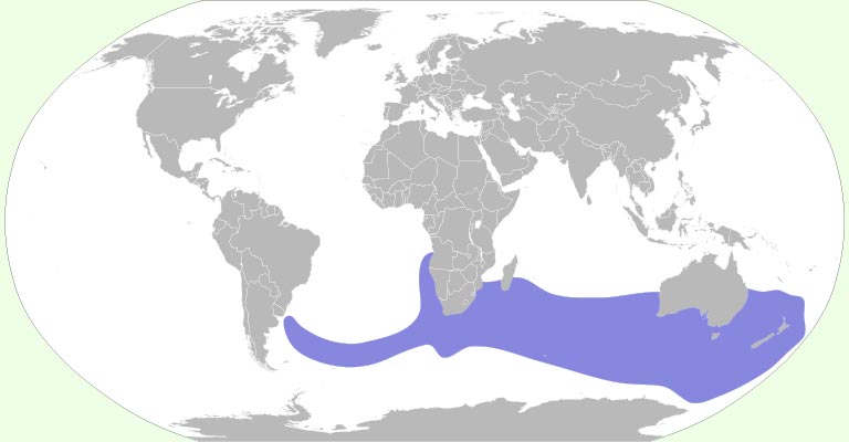 White-capped Albatross Range Map