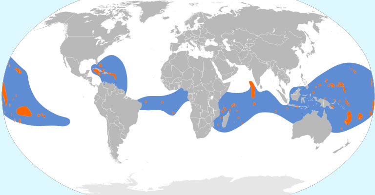 White-tailed Tropicbird Range Map