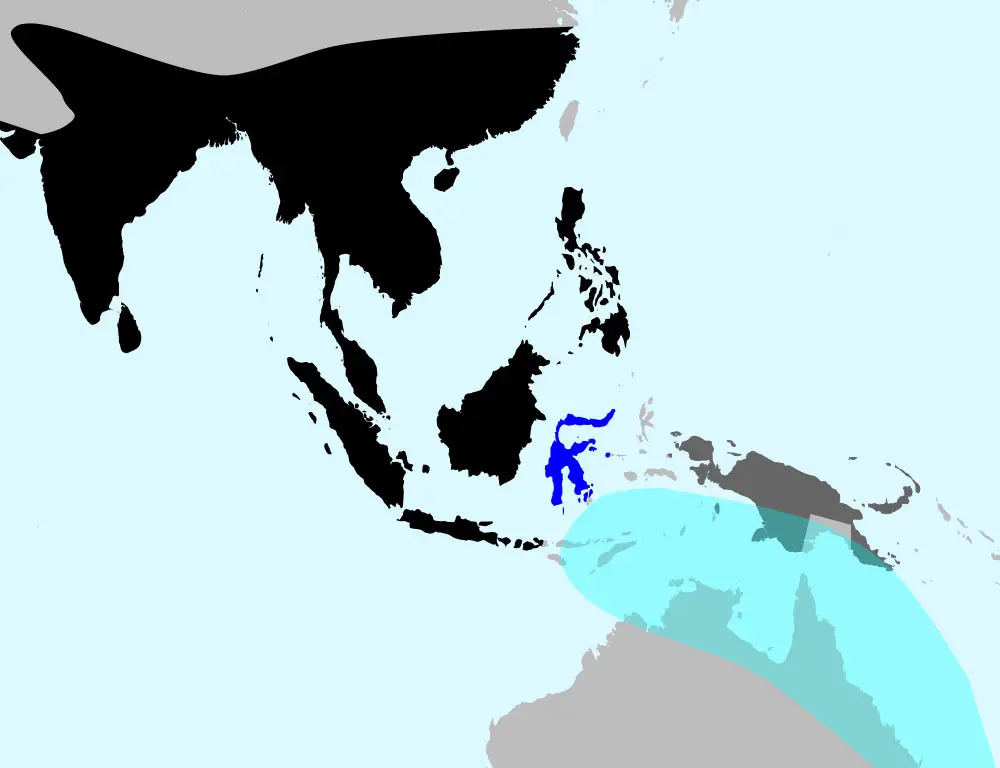 Asian Koel Range Map
