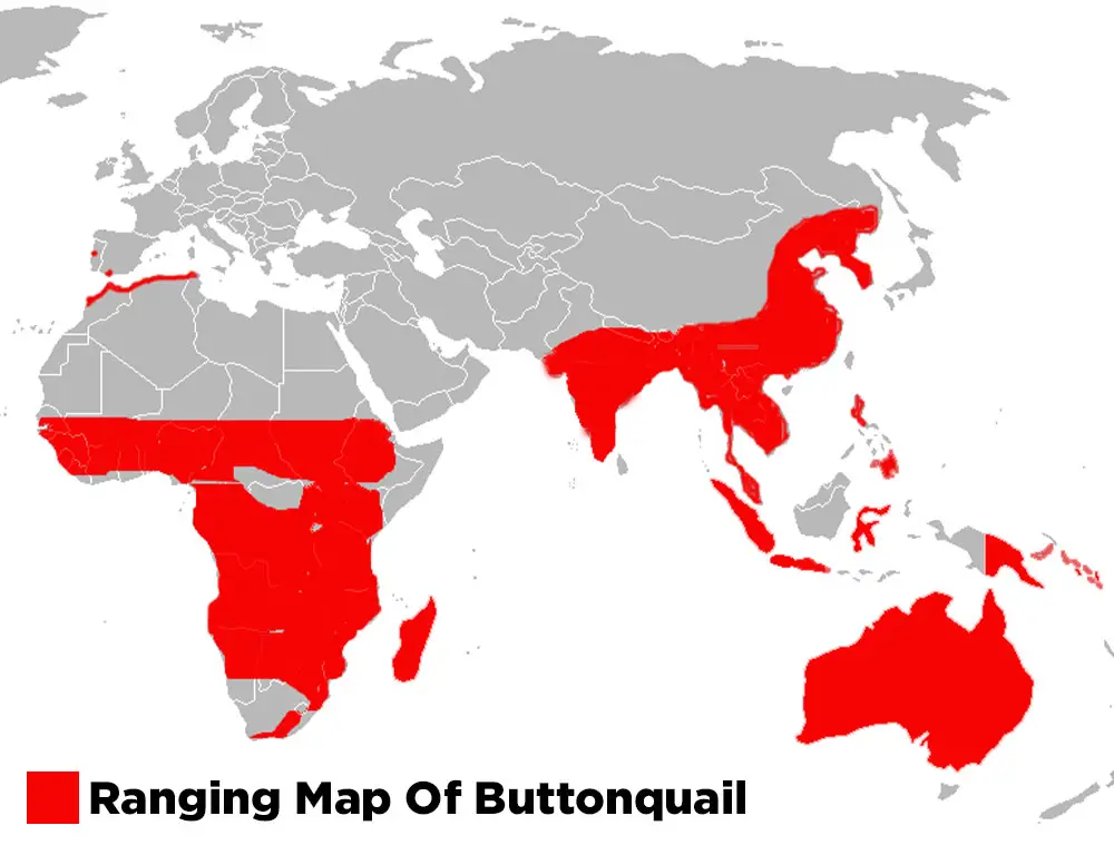 The Ranging Map Of Buttonquail