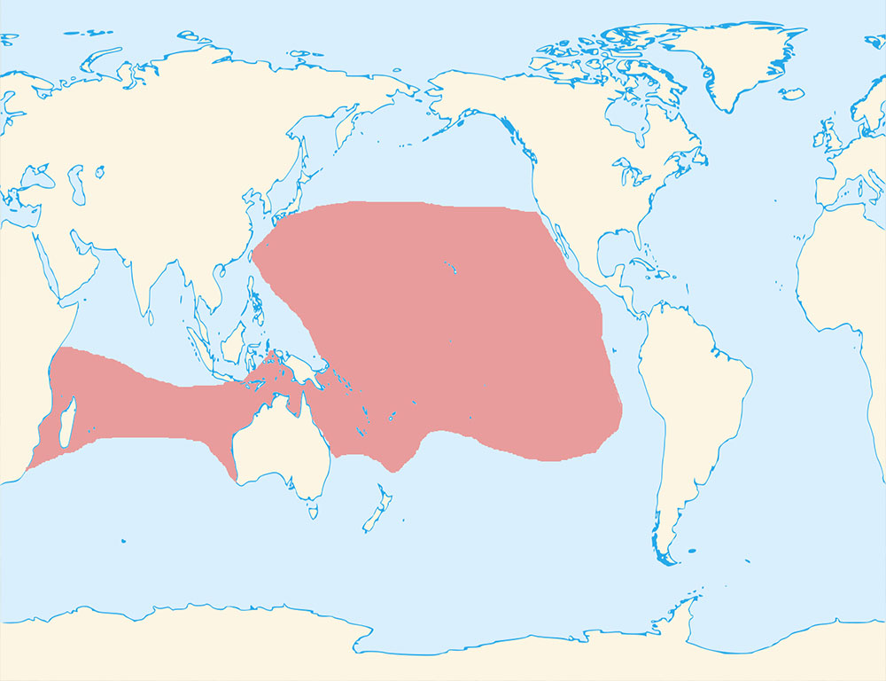 Range Map Of Red-Tailed Tropicbird